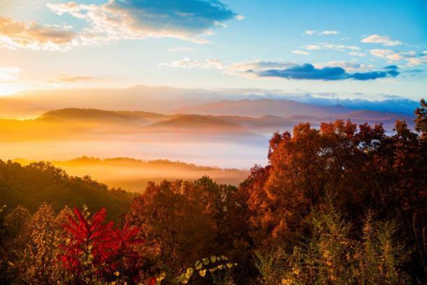 New Majestic 5 Star Amazing View, Pool, Hot Tub! Villa Pigeon Forge Eksteriør billede